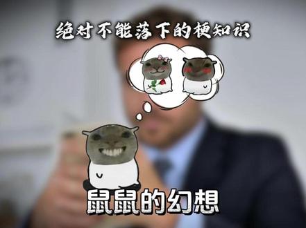 鼠鼠的幻想是什么梗? #梗百科 #梗 #幻想的鼠鼠 #鼠鼠的幻想