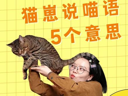 猫崽说喵语:一个特困生10秒教你记住raise的5个意思