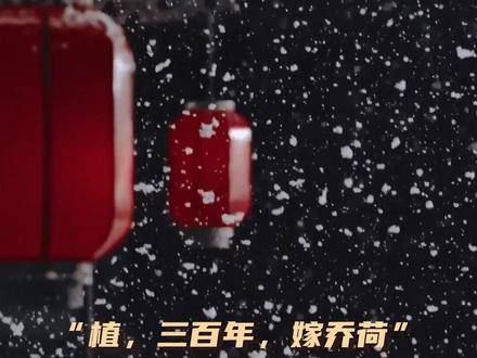 #极致的be美学“我曾备下三十三城的嫁妆,预备嫁我价值连城的掌珠”#昭奚旧草#虐心#小说#乔植#乔荷