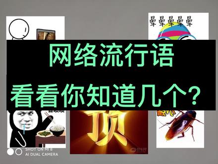 网络流行语
看看你知道几个?