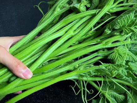 用大蒜和干辣椒做炝炒南瓜尖,炒出来脆嫩爽口又下饭,清香味十足