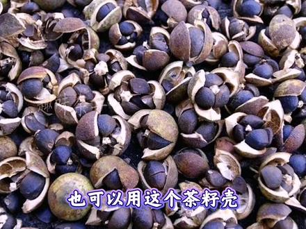 家庭制作碱水的方法,配方比例很重要,学会来在外也能做家乡美食 #制作碱水 #食用碱 #民间传统美食 #灰水 #草木灰水 #古法美食