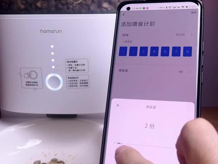 用了一个多月,这个智能喂食器带给我的是一种精致的懒#萌宠好物 #霍曼 #霍曼real智能喂食器 #新手养猫
