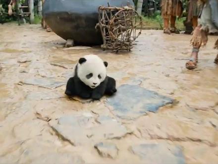 《熊猫计划2》马丽化身族长,禁止族人喊妈妈,连拥抱都不行! 《熊猫计划2》马丽化身族长,禁止族人喊妈妈,连拥抱都不行!#熊猫计划之部落奇遇记 #熊猫计划 #马丽 #春节档电影 #成龙