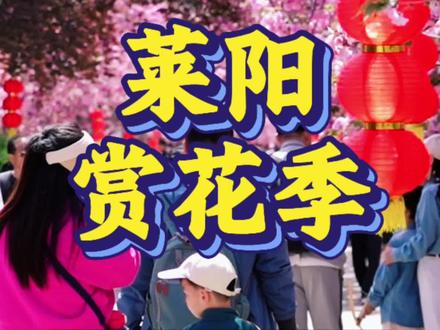 四月的莱阳直接美成花海!跟着原住民花式解锁春日浪漫,这份赏花攻略赶紧码住!#2026莱阳梨乡花语赏花季 #烟台村歌大赛 #莱阳村歌大赛 #莱阳 #胶东半岛自驾游攻略