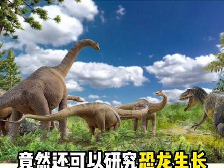 什么!9年只有6个学生?毕业照都只有一个人?这真是北大最孤独的专业了...#北大 #冷门专业 #涨知识