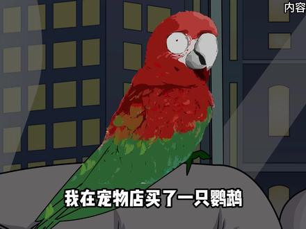 半夜鹦鹉开始说一些我听不懂的话 #悬疑动画 #原创动画