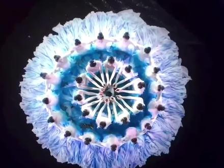 千言万语汇不成一个迪丽热巴的权威 #迪丽热巴 #春晚 #宜宾 #新疆 #顶流