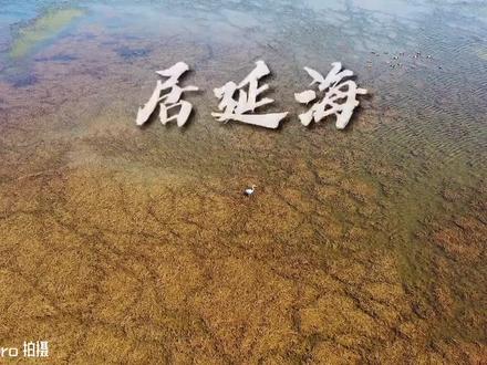 干涸又恢复水源的居延海#mavic2专业版