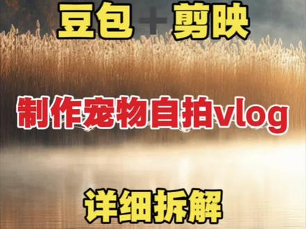 豆包➕剪映制作萌宠自拍vlog详细拆解 #手机剪辑 #剪辑教学 #剪辑教程 #豆包ai