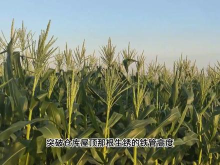 18分钟读完克罗谈投资策略