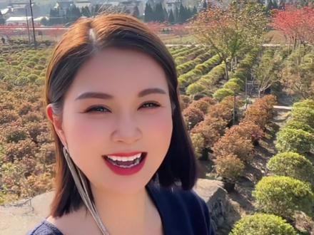 1.2万人去日本旅游回不来了 #盛燕农业#三农#正能量