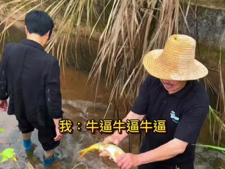 老爸研发的地毯式徒手捉鱼,捉到手软,捉到最后不想要了…#我的乡村生活 #抓鱼 #2022新农人计划