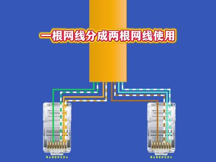 一根网线分成两根网线的使用方法#网线 #网线接线方法 #技术分享#网线水晶头接法 #焦作弱电智能化专业服务商