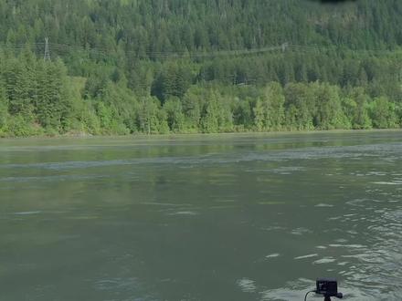 高首鲟我回来了 #钓鱼 #钓鱼人 #钓鱼的乐趣只有钓鱼人懂 #钓鱼人就是这么疯狂 #钓鱼封神榜