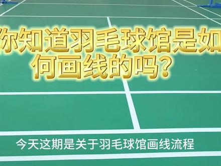 羽毛球场地画线 #羽毛球知识科普 #羽毛球知识 #羽毛球理论知识 #羽毛球meme