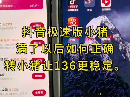 如何稳定小猪136#抖音极速版