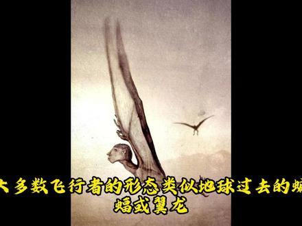 所有的明天-飞行者 #所有的明天 #外星人 #科幻 #恐怖 #怪兽