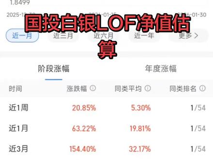 国投白银LOF净值估算#财经 #白银 #交易 #财经知识