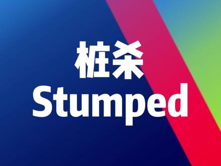 板球裁判:桩杀(Stumped) #板球 #磊乐板球教程 #板球裁判 #Cricket #磊乐体育 #板球教学 #涨知识