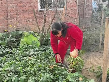 婆婆说我喜欢吃王子肉,今天天气好,帮我做一罐,这道菜有的地方叫杂肉#远嫁生活#农村