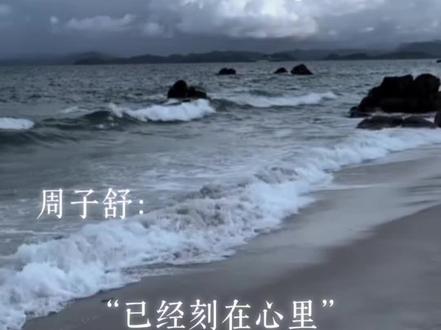 这一段听的心疼死了,那细小的一点悲伤全被周絮捡出来了#priest #天涯客#山河令 #广播剧
