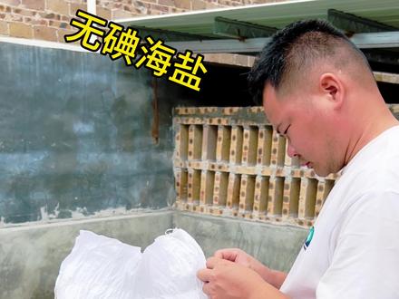 新鱼池,先用无碘海盐养一个星期左右等水微微发绿再放鱼苗#记录日常