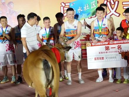 冠军奖一头牛!博罗湖镇“村BA”成乡村振兴亮丽名片#村BA