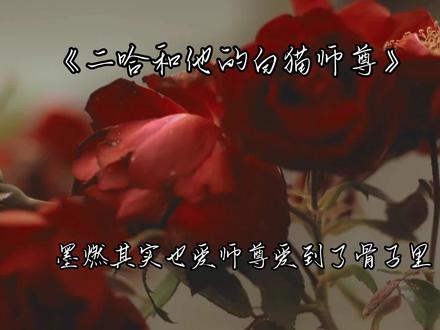 呀墨燃你不是不喜欢师尊嘛,怎么变得那么拉了#二哈和他的白猫师尊#广播剧