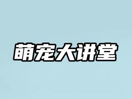 英短吃饭流眼泪是怎么回事?#宠物知识 #猫知识 #萌宠出道计划 #养猫 #猫粮 #英短 #猫咪