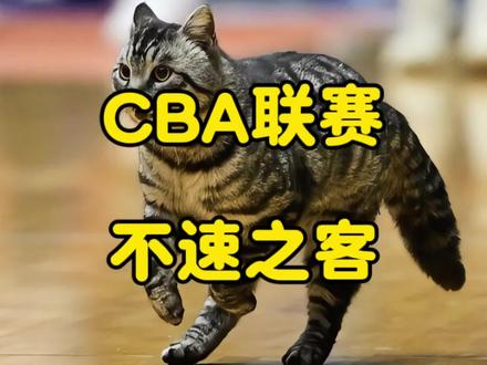 盘点CBA闯入“不速之客”:喵星人上演迷踪步,蝙蝠实力抢镜? #CBA赛场误入小猫 #dou来cba #cba评球大会 #广东宏远 #辽宁男篮