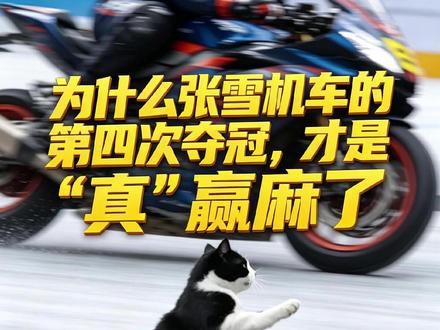 张雪的第四个冠军,才是“真”赢麻了 #动物不懂车 #张雪机车 #WSBK