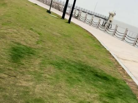 珠海淇澳岛网红露营地#钓鱼的乐趣只有钓鱼人懂 #2023dou来钓鱼