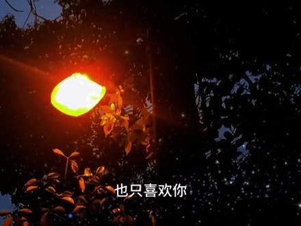我喜欢你,是因为你是简松意(555表白我哭晕๑_๑)
#两A相逢必有一O #广播剧 #柏淮 #简松意