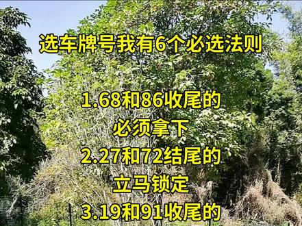 车牌选号有诀窍,这6种组合最抢手#选车牌#车主必备 #车牌靓号