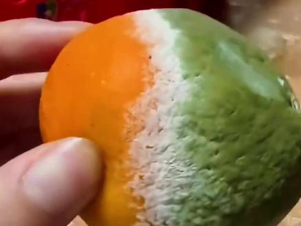 这是什么细菌 #科普#涨知识#细菌#知识科普 #小知识