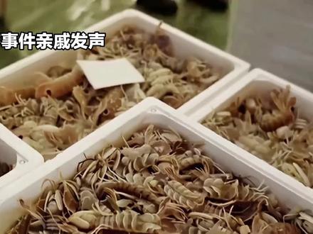 #亲戚言辞恳切,句句真诚。#