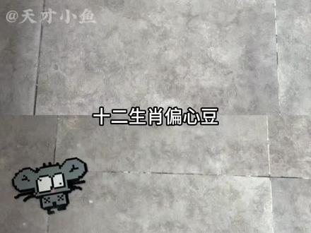 我猜都不用猜就知道网友属什么#十二生肖#属相 #娱乐 #万万没想到