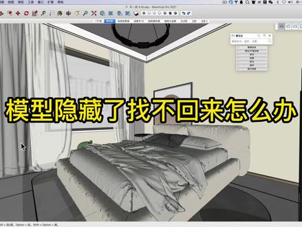 sketchup模型隐藏了找不回来怎么办?#sketchup #优象sketchup