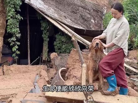 田园刘娟:昨天感觉更多还是震惊,今天我才真正体会到了难过.