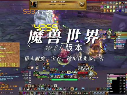 猎人附魔、宝石、输出优先级、宏##魔兽世界 #巫妖王之怒 #猎人 #输出