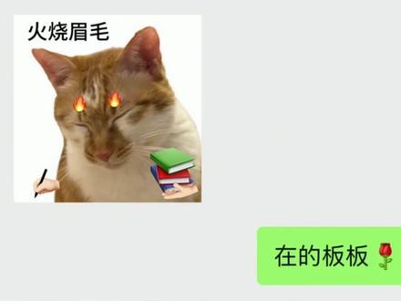 不是,这真的对吗 #三角洲行动 #三角洲 #破防 #聊天记录 #崩溃