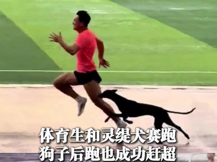 7月24日(受访),山东,#体育生和灵缇犬赛跑狗子后跑也成功赶超,网友:它似乎未尽全力@山东涌动体育(招生中) #灵缇犬 #人与动物 #人与狗狗和谐共处