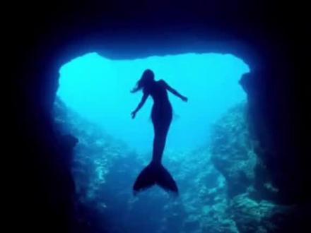 美人鱼目击事件:美人鱼,中国古代叫鲛人,《搜神记》、《太平御览》、《史记》、《太平广记》、《圣经》、《山海经》都有记载!