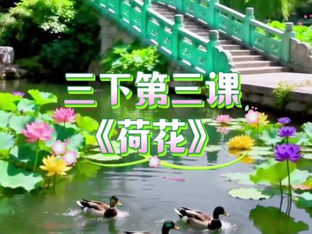 三年级语文下册第三课,《荷花》课文情景动画朗读! #三年级语文下册预习 #荷花 #课文朗读 #课文预习 #记录身边的绝美春色