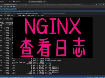 NGINX如何查看日志?#NGINX
