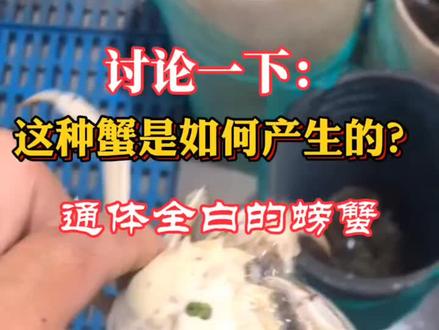 通体全白的螃蟹,在养殖过程中,是如何产生的。#螃蟹 #养殖 #水产养殖 #变异
