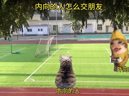 内向的人怎么交朋友 #猫meme #内向的人如何社交 #dnf手游 #dnf手游激励计划 #DNF手游新春版本