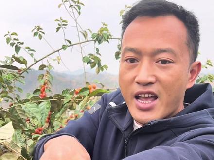 羊奶果怎么吃才不酸,分享给你们!#羊奶果 #云南