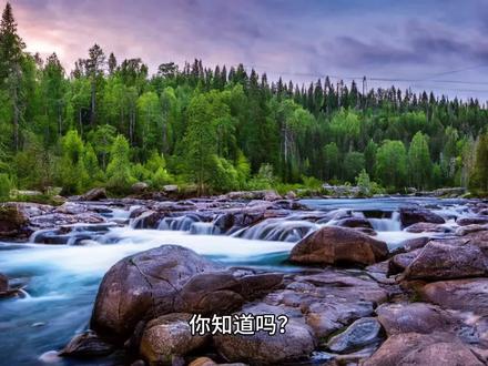 JVM中一次完整的GC流程